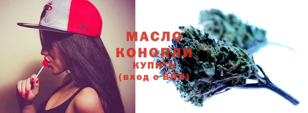 дмт Билибино