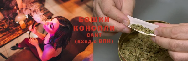 стафф Новокубанск