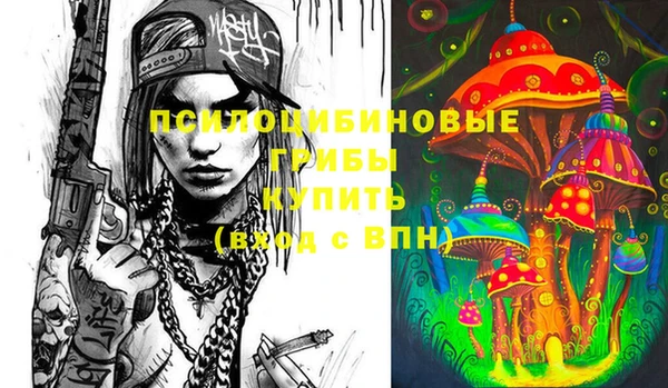 скорость Новодвинск