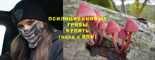 COCAINE Болотное