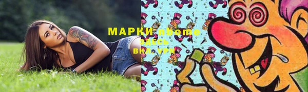 стафф Новокубанск
