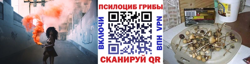Псилоцибиновые грибы GOLDEN TEACHER  Костомукша 