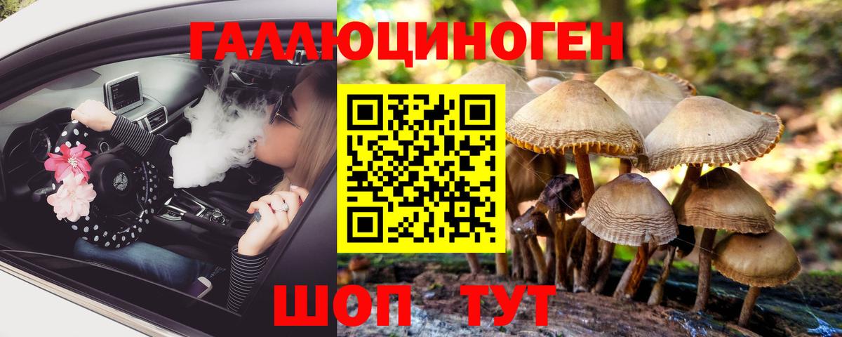 Галлюциногенные грибы прущие грибы  Костомукша  Галлюциногенные грибы прущие грибы 