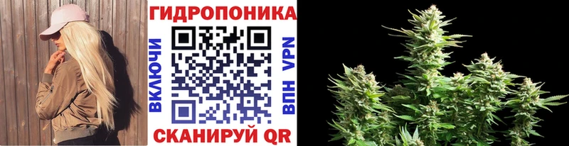 Бошки марихуана семена  наркошоп  Костомукша 